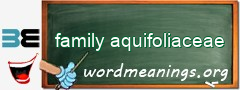 WordMeaning blackboard for family aquifoliaceae